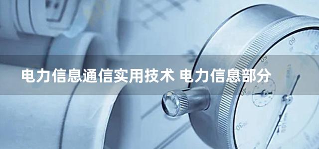 电力信息通信实用技术 电力信息部分 (湖北省电力公司信息通信分公司组) (2013)